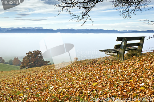 Image of autumn scenery