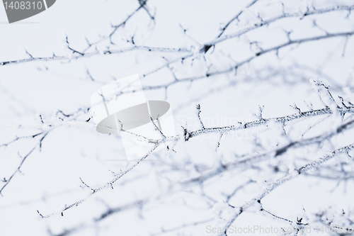 Image of snow crystals