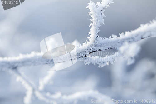 Image of snow crystals