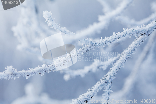 Image of snow crystals