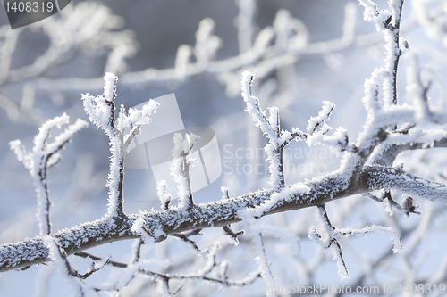 Image of snow crystals