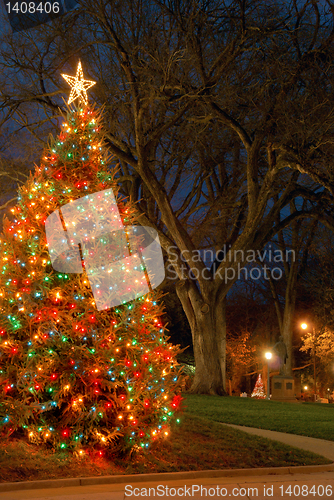 Image of Christmas tree at night