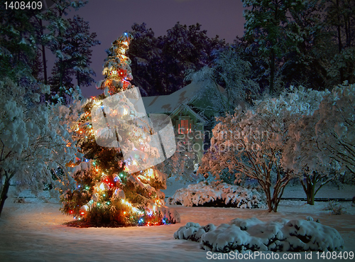 Image of Christmas tree