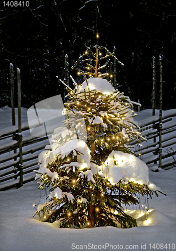 Image of Christmas tree