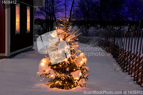 Image of Ourdoor Christmas tree at night