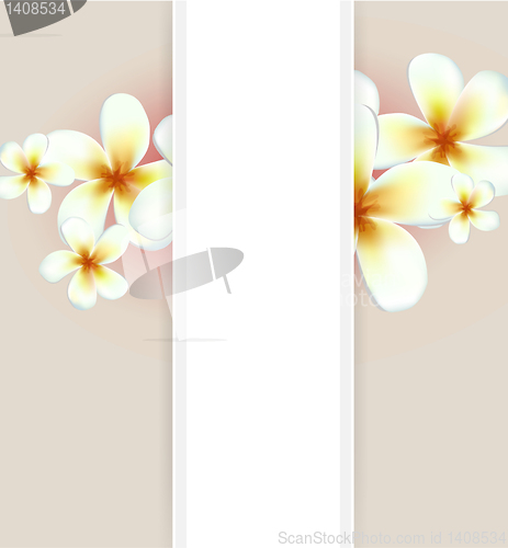 Image of Vector flowers background