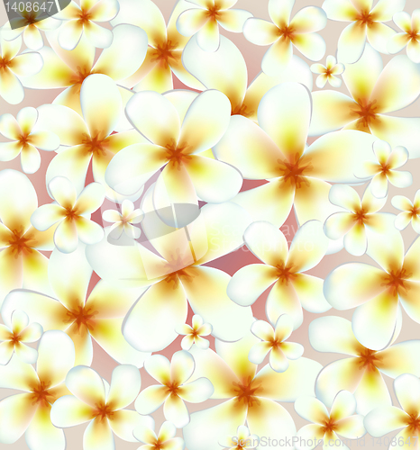 Image of Vector flowers background