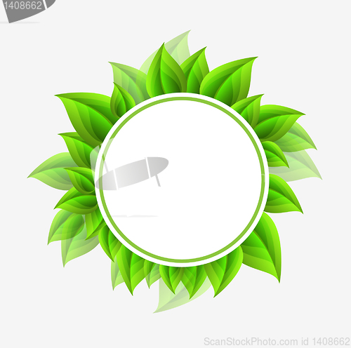 Image of fresh green leaves  design