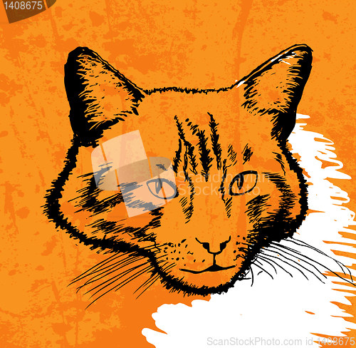 Image of cat drawing vector on grunge background