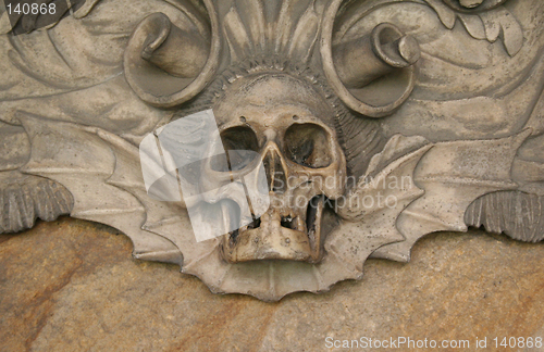 Image of Skull