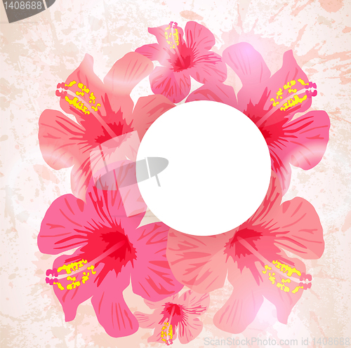 Image of Abstract tropical background. Hibiscus flower for design.