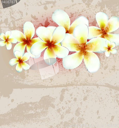 Image of Vector flower background