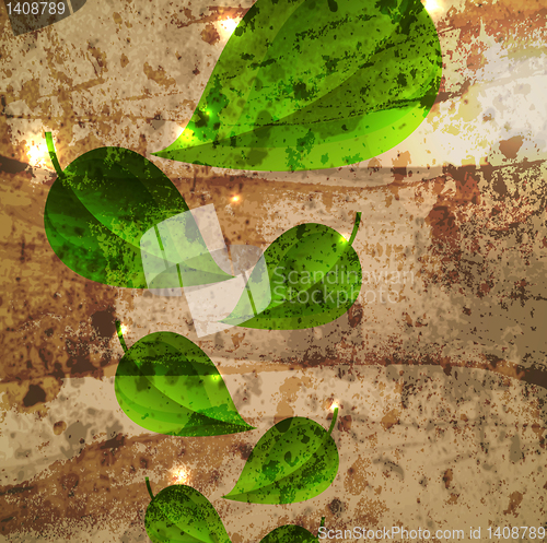 Image of branch with fresh green leaves. Grunge poster