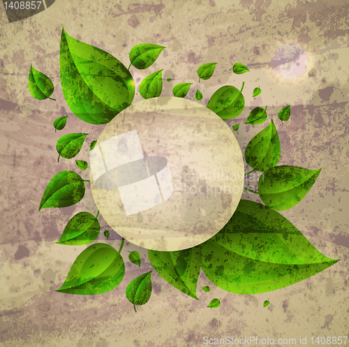 Image of branch with fresh green leaves. Grunge poster