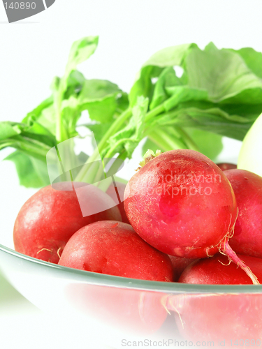 Image of vegetable - radish