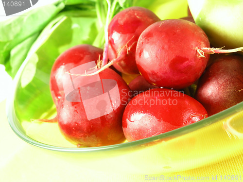 Image of vegetable - radish