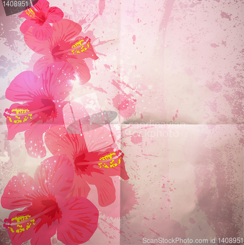 Image of Abstract tropical background. Hibiscus flower for design.