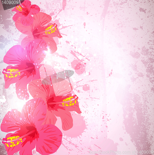 Image of Abstract tropical background. Hibiscus flower for design.