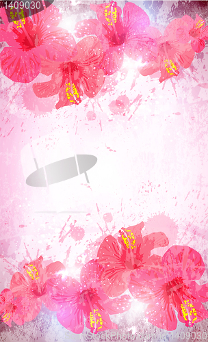 Image of Abstract tropical background. Hibiscus flower for design.