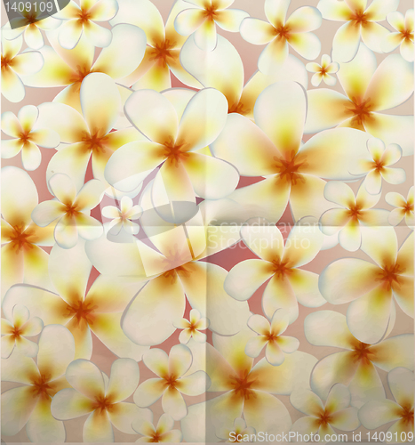 Image of Vector flowers background íà áóìàæíîì ôîíå