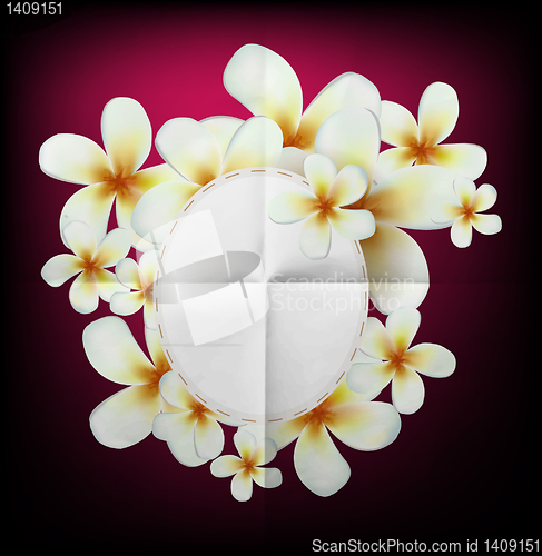 Image of Vector flowers background