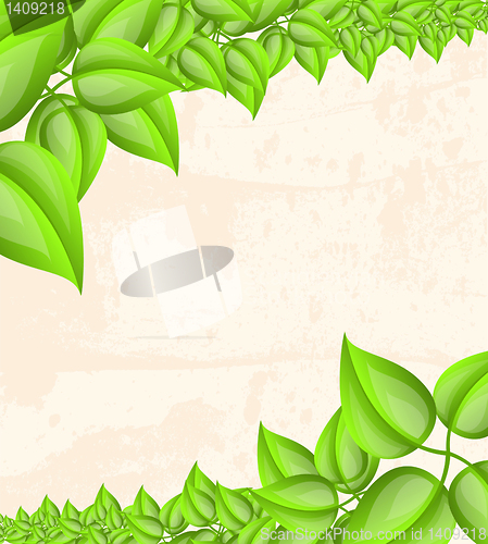 Image of fresh green leaves  design