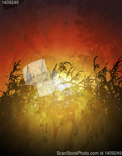 Image of sunset in cornfield vector background