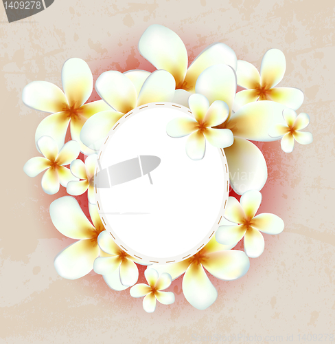 Image of Vector flower background