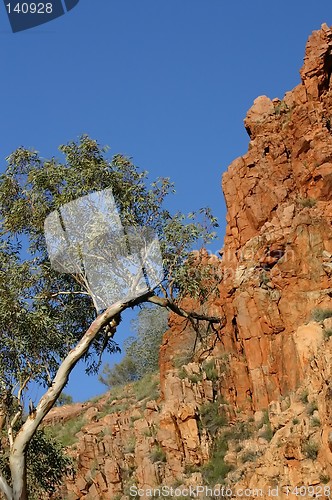 Image of kings canyon