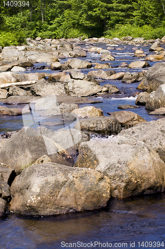 Image of Wooded stream with many rocks