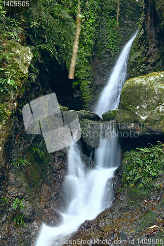 Image of Deep forest waterfall 