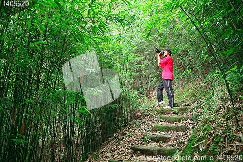 Image of photographer taking photo in bamboo path 