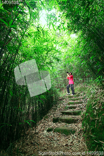 Image of photographer taking photo in bamboo path 