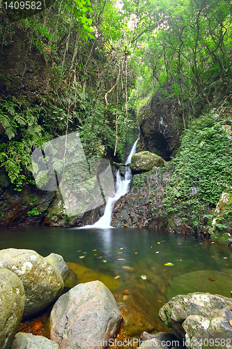 Image of Deep forest waterfall 