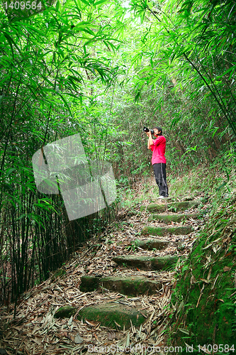 Image of photographer taking photo in bamboo path 