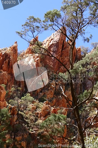 Image of kings canyon