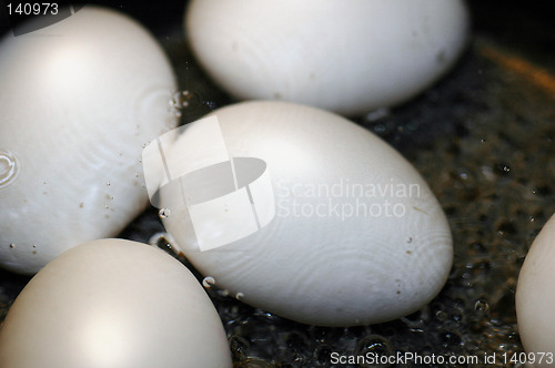 Image of Boiling egg