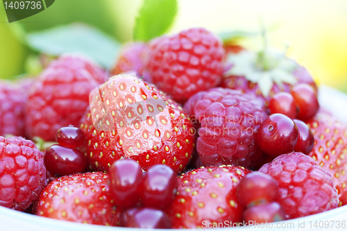 Image of berries