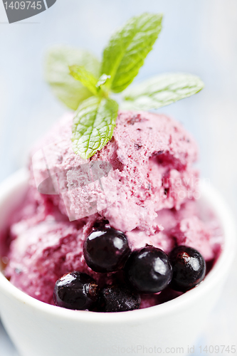 Image of blackcurrent sorbet