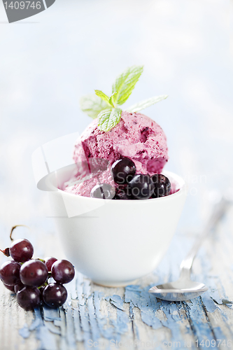 Image of blackcurrent sorbet