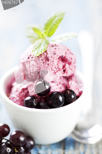 Image of blackcurrent sorbet