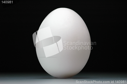 Image of Egg