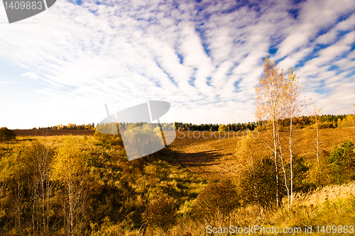 Image of Seasons of year