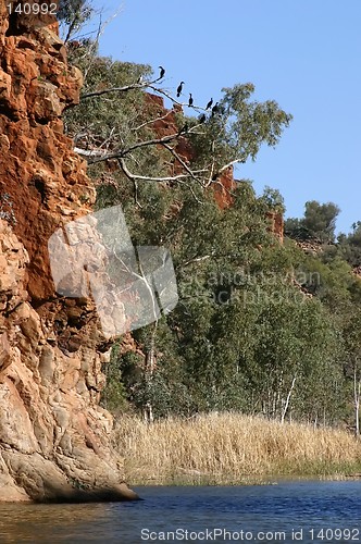 Image of pond in kings canyon