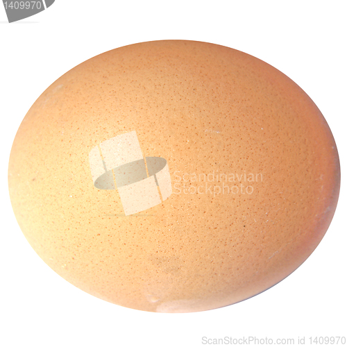 Image of Egg picture