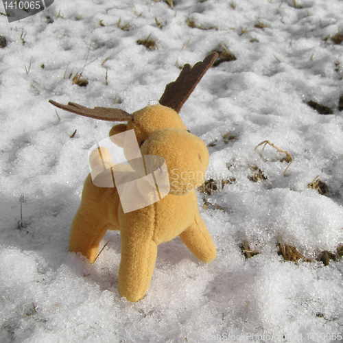 Image of Deer picture
