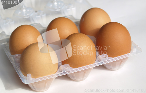 Image of Eggs picture