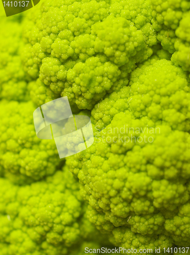 Image of Cauliflower