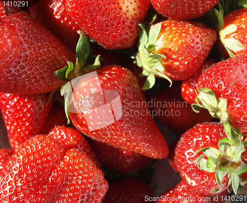 Image of Strawberry