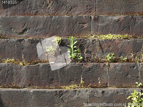 Image of Roman wall